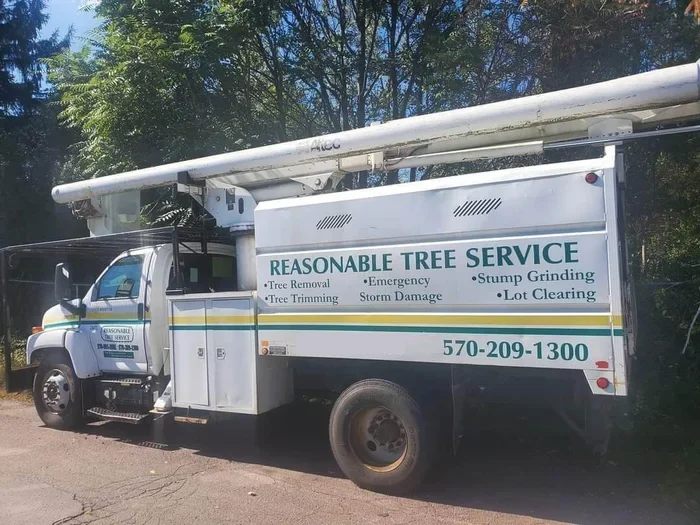Reliable Tree Maintenance
