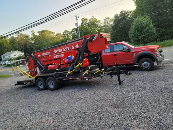 Professional Tree Service Services