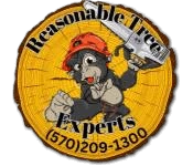 Reasonable Tree Experts