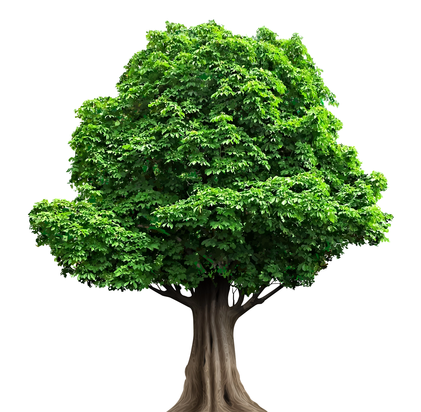 Reliable Tree Maintenance